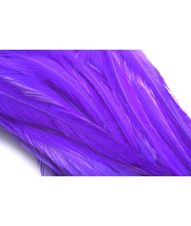 STRUNG SADDLE PURPLE